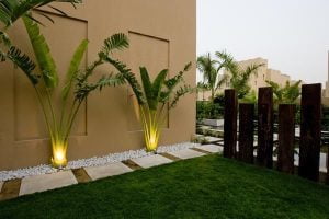 landscaping service in dubai